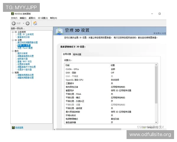 提升118金宝搏会员登录成功率的实用方法与常见错误避免技巧