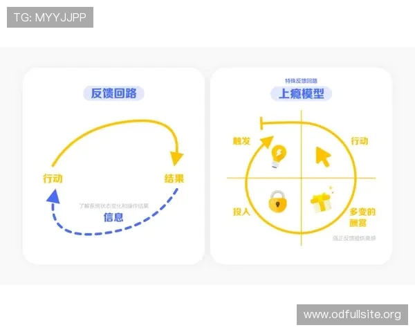 选择优质国际真人app客服平台的关键因素及用户反馈与评价分析